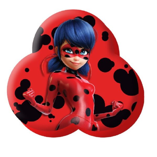 Dekoratiivpadi Ladybug