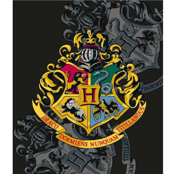 Fliistekk 130x170 Harry Potter