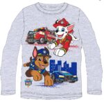 Pluus Paw Patrol (hall)