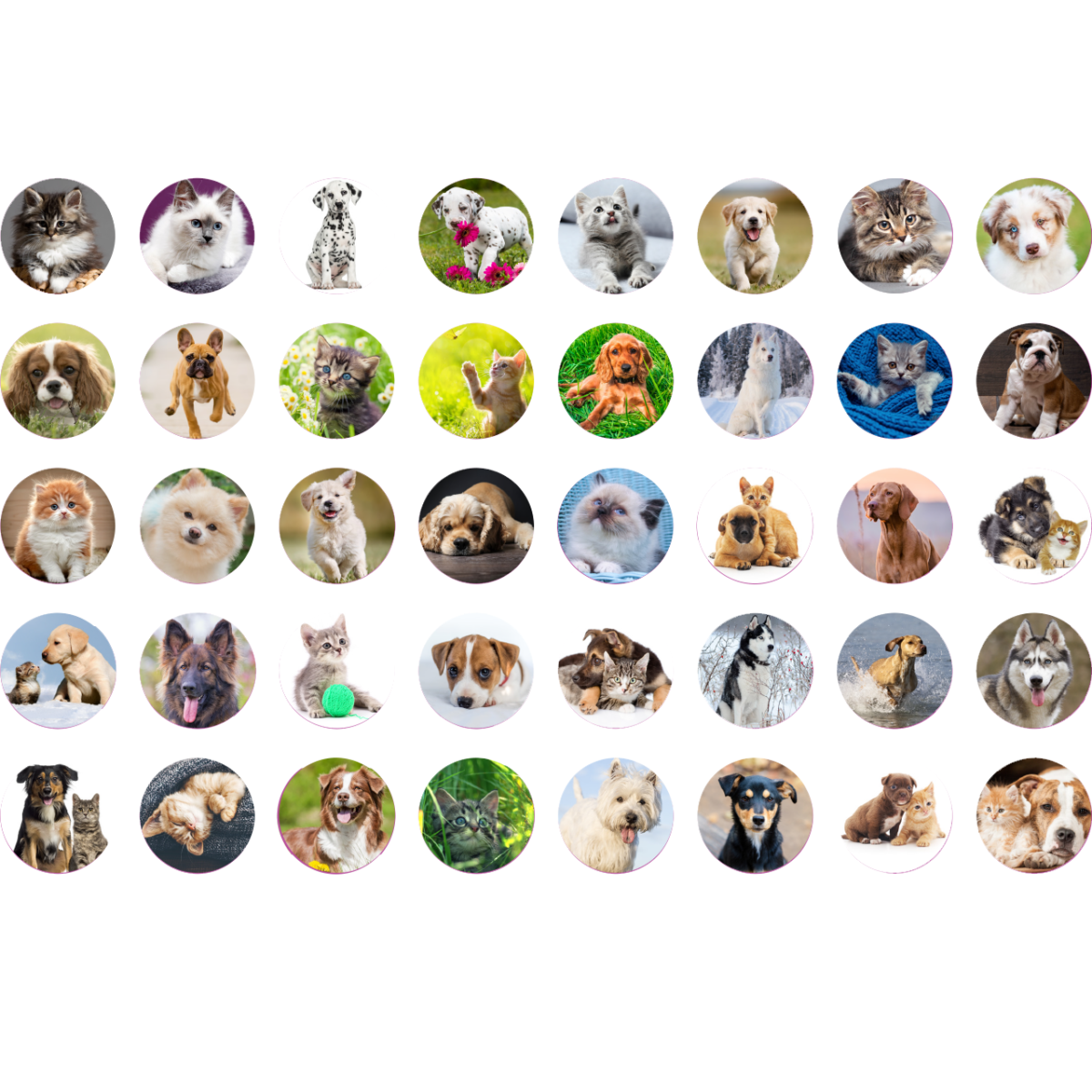 stickers-11
