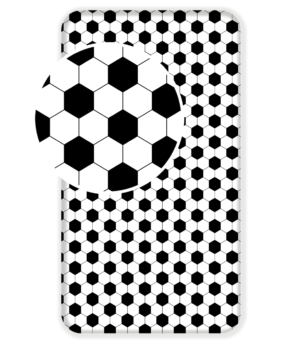 026038