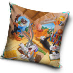 Padjapüür The Looney Tunes 40x40 cm