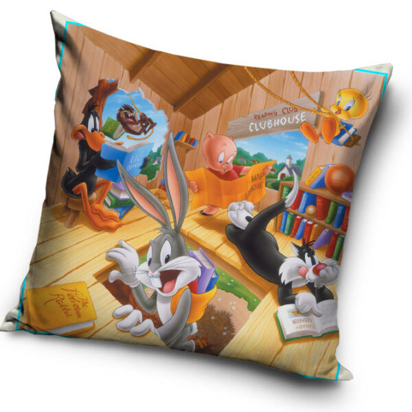 Padjapüür The Looney Tunes 40x40 cm