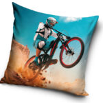 Padjapüür Bicycle 40x40 cm