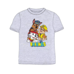 T-särk Paw Patrol Friends